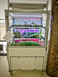 ezusteremmel debutalt a green drops az orszagos ifjusagi innovacios versenyen4