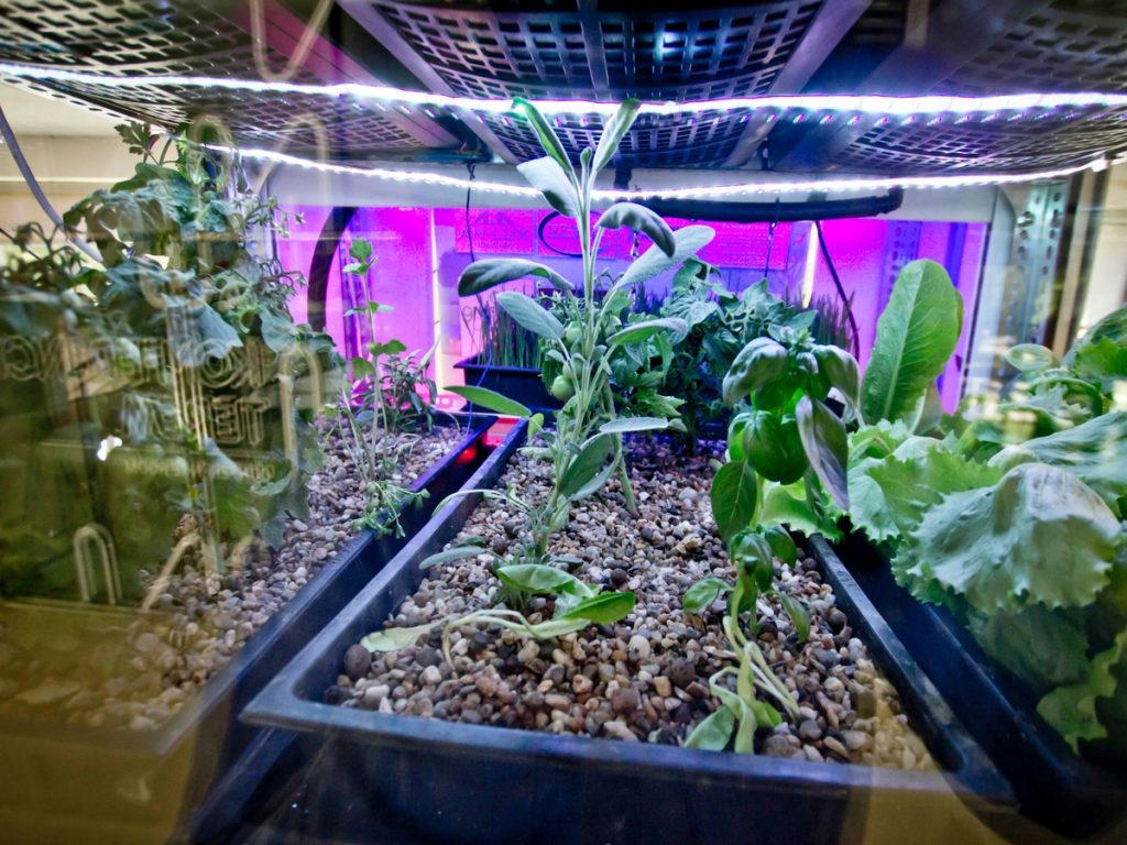 ezusteremmel debutalt a green drops az orszagos ifjusagi innovacios versenyen9